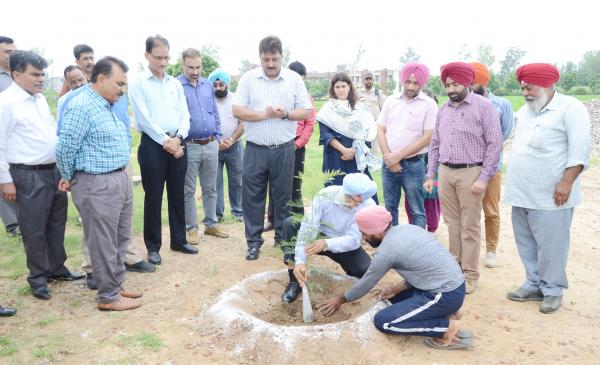 Dr. A. S. Nanda, Vice Chancellor and other officer of vet varsity dedicates Plantation Drive to Guru Nanak Sahib anniversary